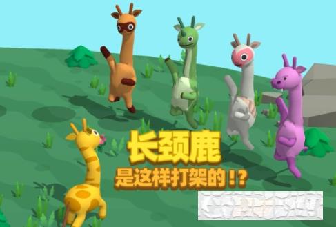 長頸鹿是這樣打架的